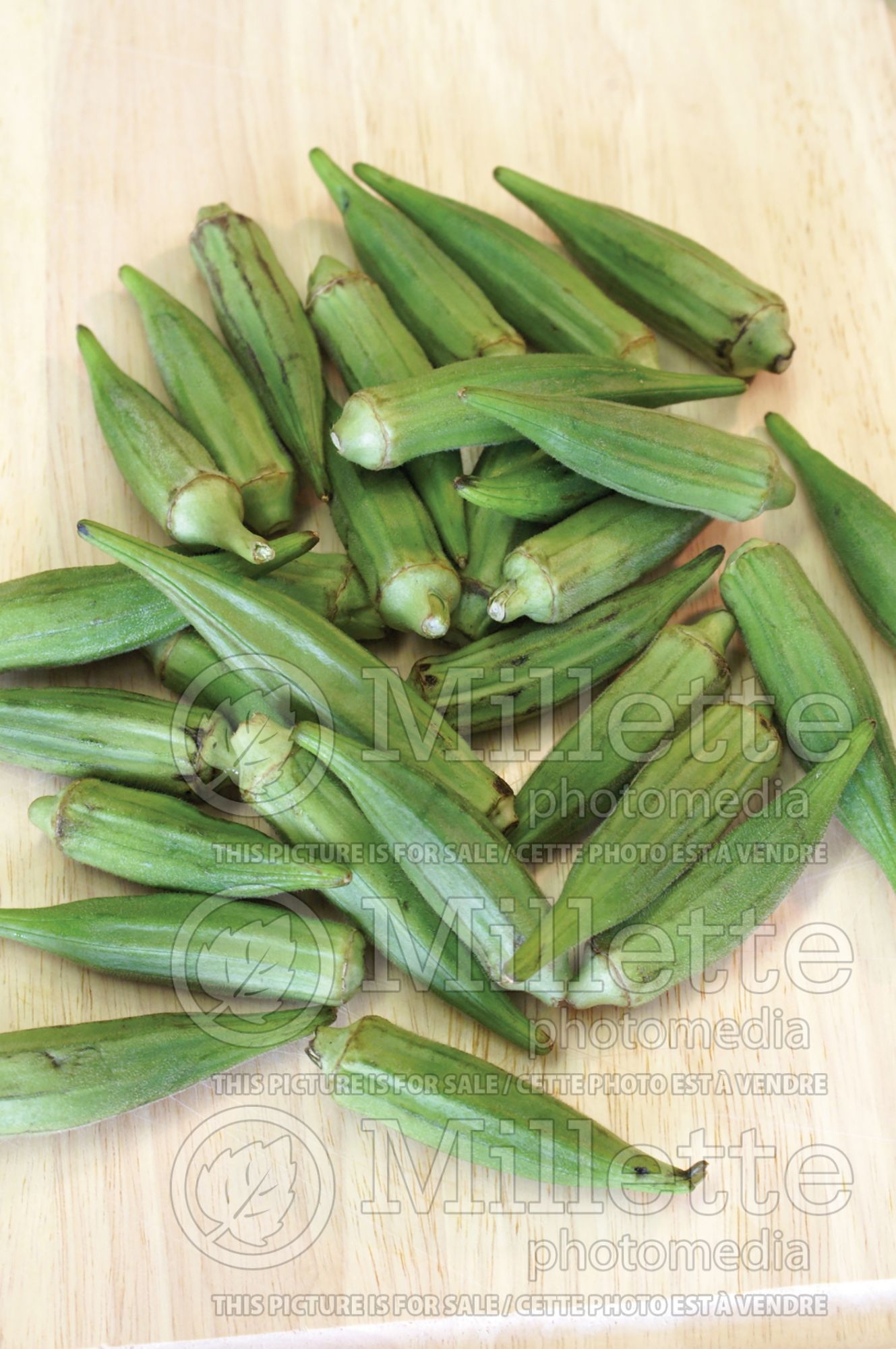 Abelmoschus esculentus (Okra aka okro vegetable) 1