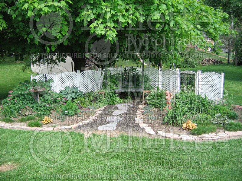 Garden landscaping - bench 41