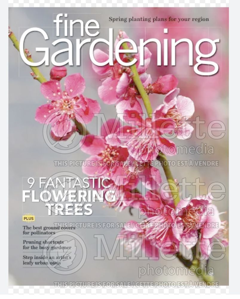 Front Page on Fine Gardening 216
