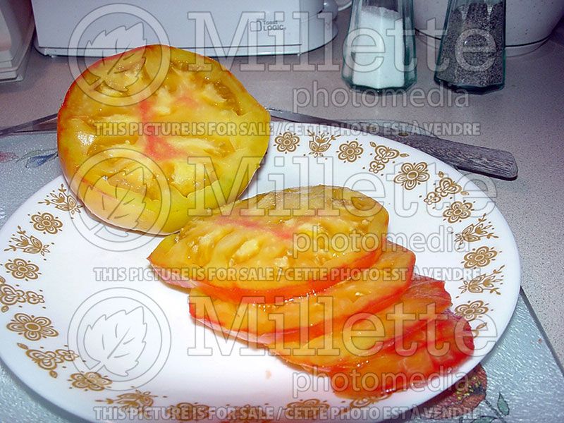 Solanum Mr. Stripey (Tomato vegetable - tomate) 2 