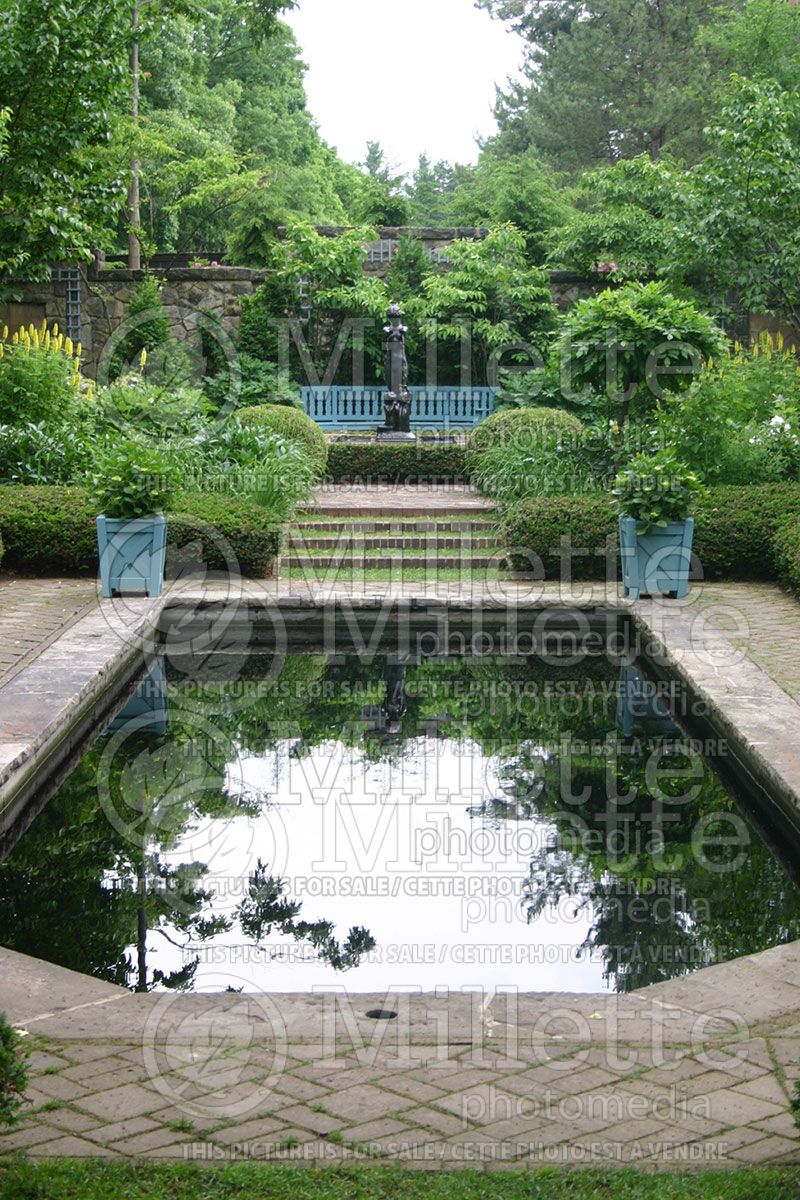 Garden landscaping - pond 9