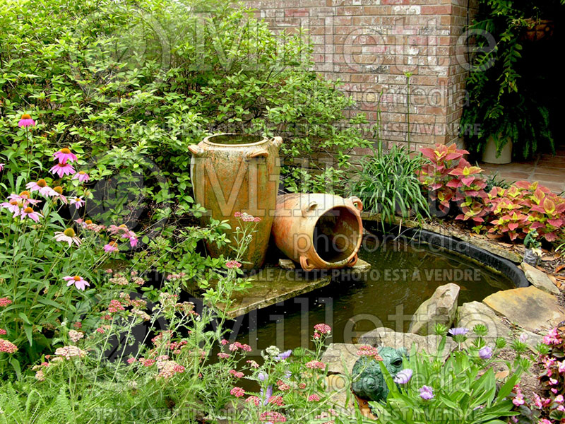 Water fountain in the middle of a flower bed - pond (Landscaping) 2