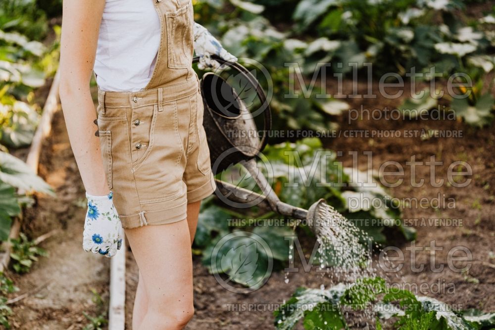 Effective Ways You Can Improve Your Gardening Business Blog