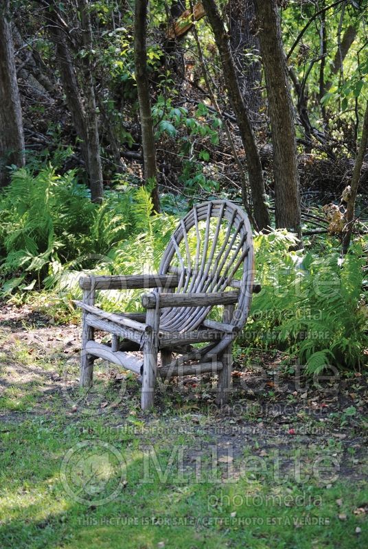 Provide a seating area in the garden - bench (Garden accents and garden designs) 25  