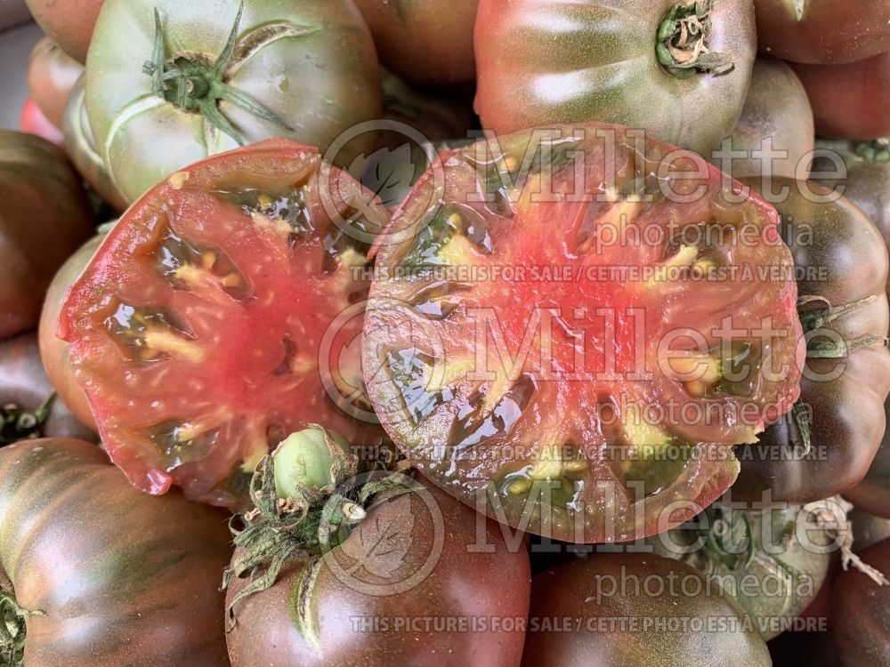 Solanum Noire de Crimee aka Black Krim (Tomato vegetable – tomate) 5  