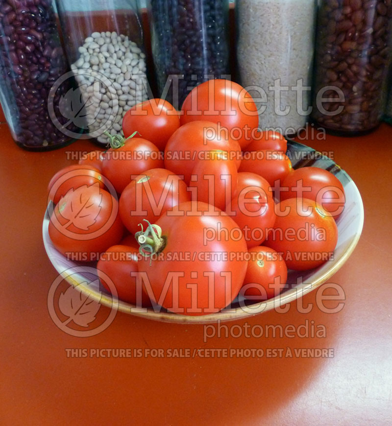 Plate full of tomatoes - vegetables (Ambiance) 78 